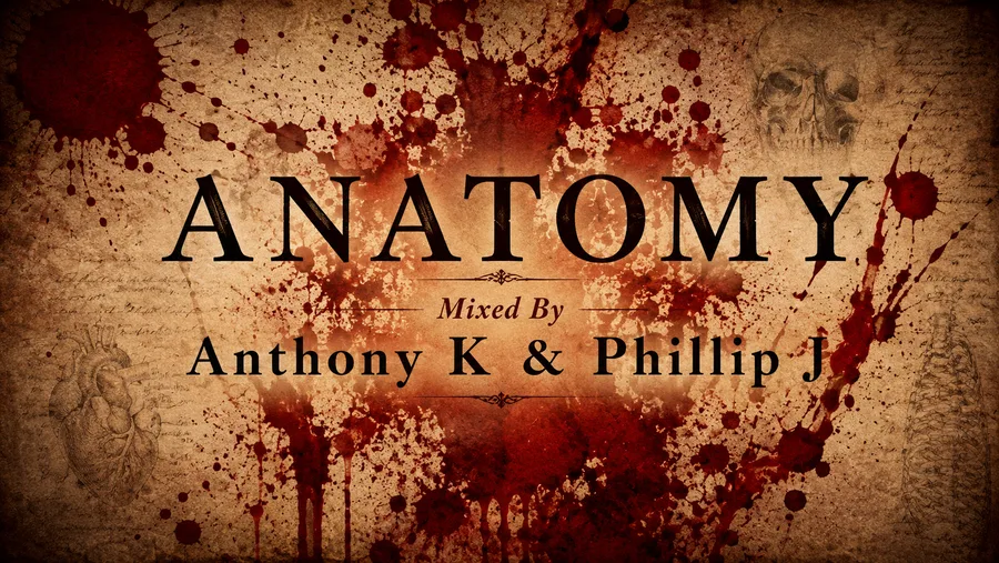 Anatomy — MIX / MP3 — Anthony John & Phillip J